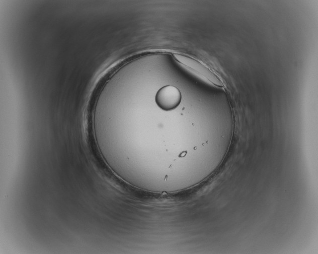 X0000111130344200907141215