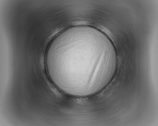 X0000111130345200907141215
