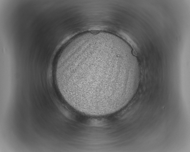 X0000111130346200907141215
