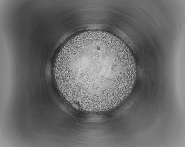 X0000111130347200907141215