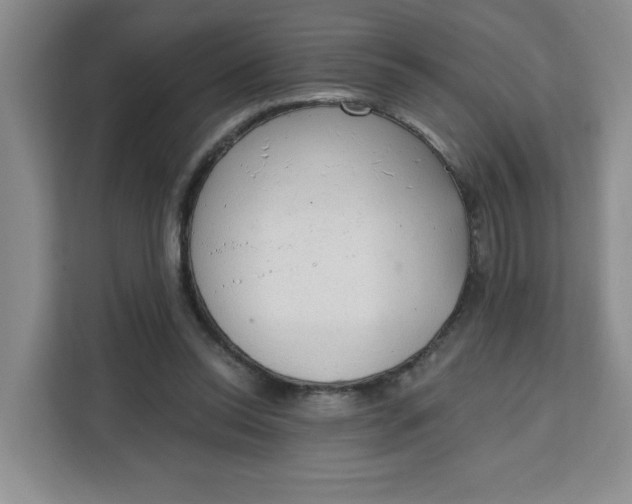X0000111130350200907141215
