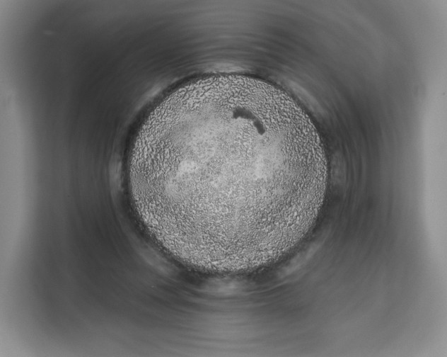X0000111130351200907141215