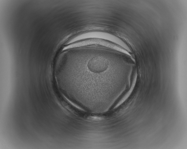 X0000111130352200907141215