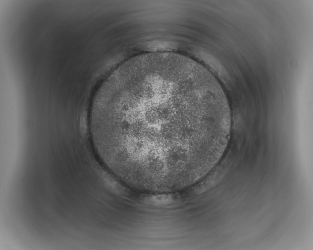 X0000111130353200907141215