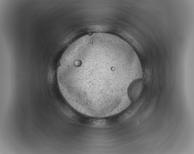 X0000111130355200907141215
