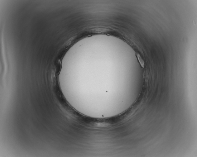 X0000111130360200907141215