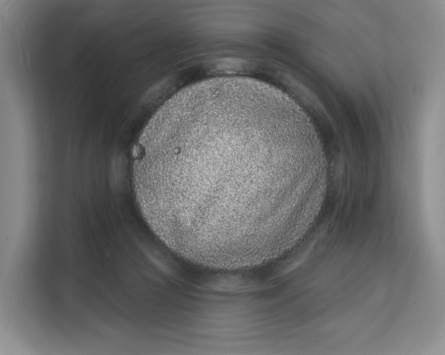 X0000111130361200907141215