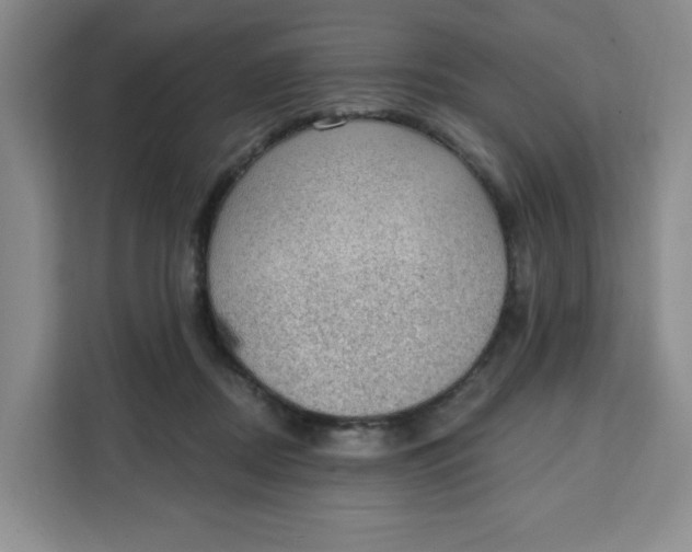 X0000111130362200907141215