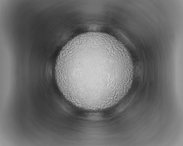 X0000111130363200907141215