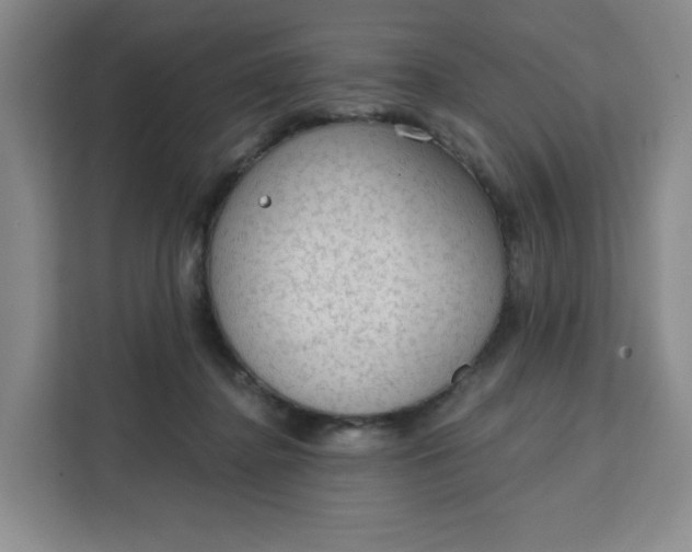 X0000111130364200907141215