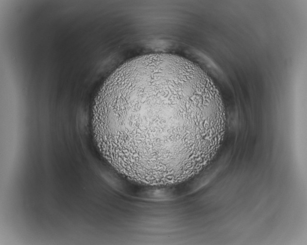 X0000111130365200907141215