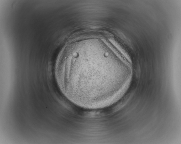 X0000111130366200907141215