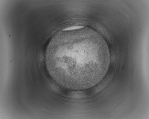 X0000111130367200907141215