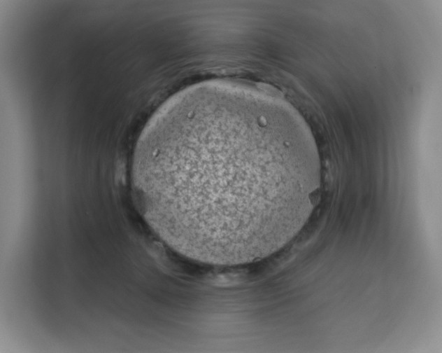 X0000111130368200907141215