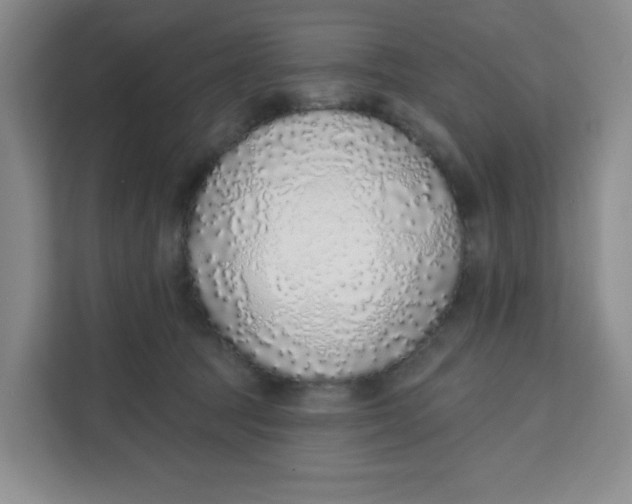 X0000111130369200907141215