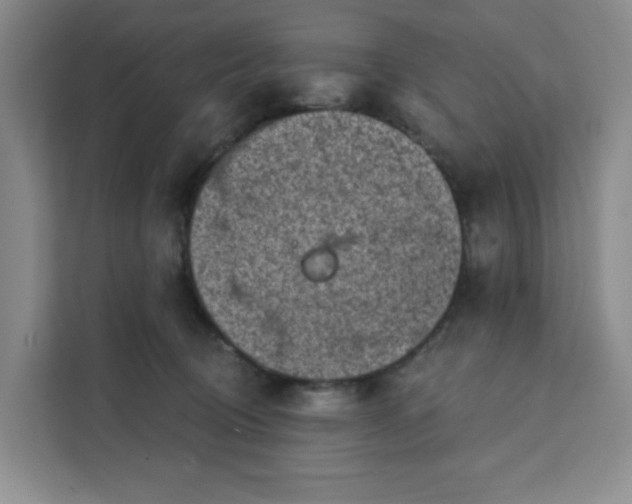 X0000111130370200907141215