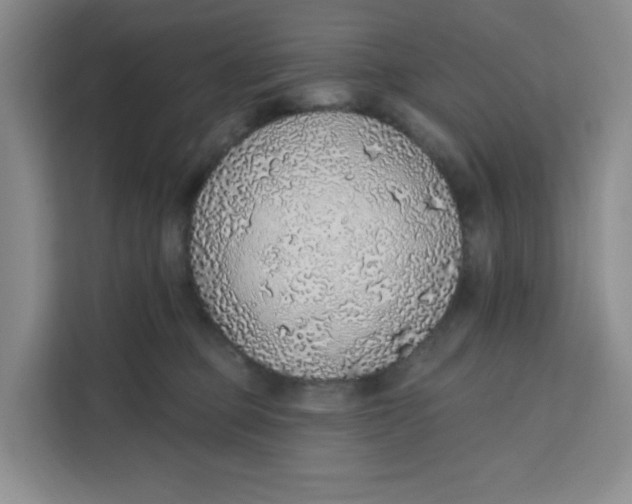 X0000111130373200907141215