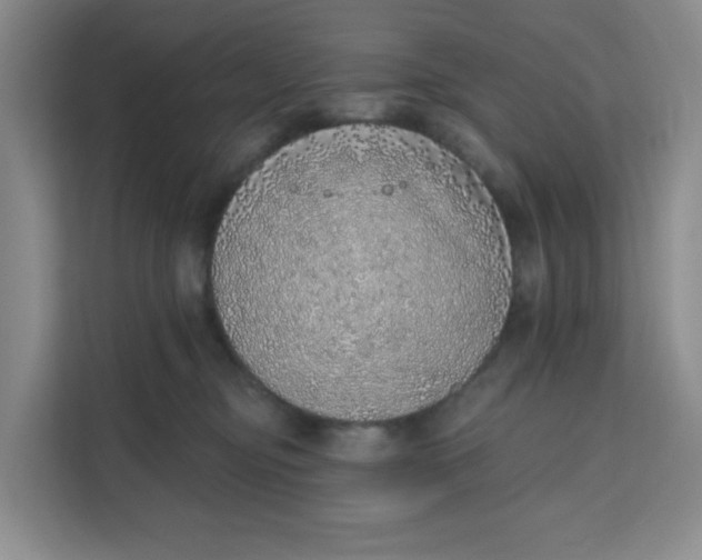 X0000111130374200907141215