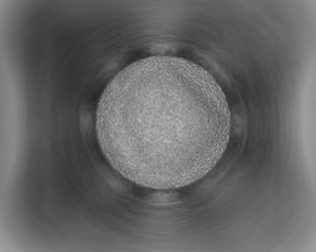 X0000111130375200907141216