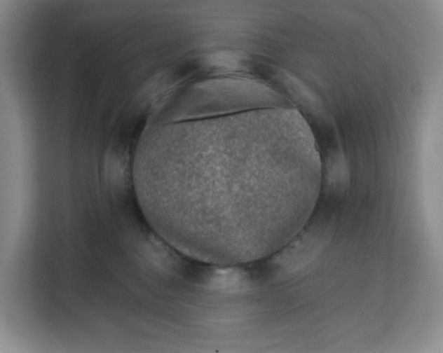 X0000111130376200907141216