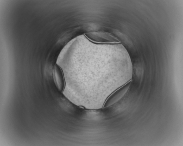 X0000111130380200907141216