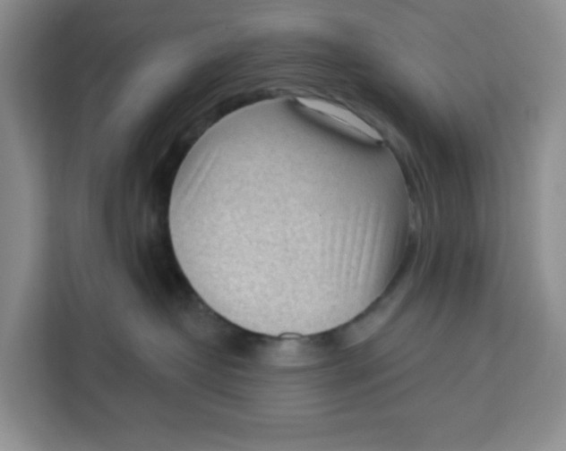 X0000111130382200907141216