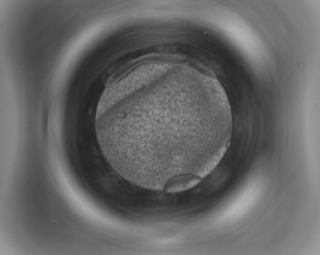 X0000111130383200907141216