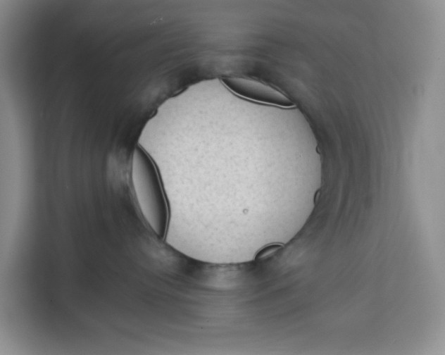 X0000111130384200907141216