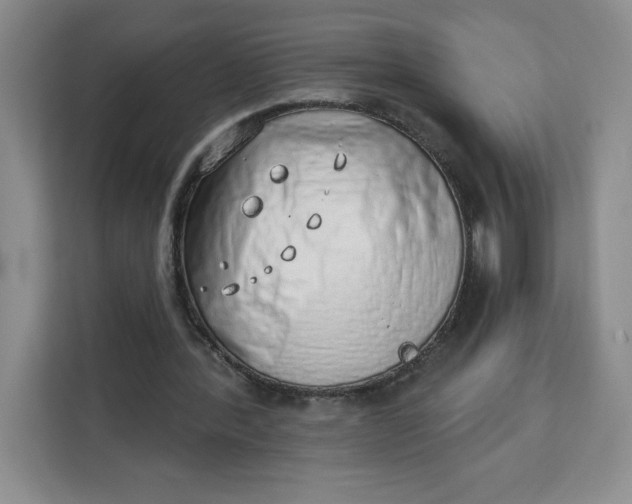 X0000111130388200907141215