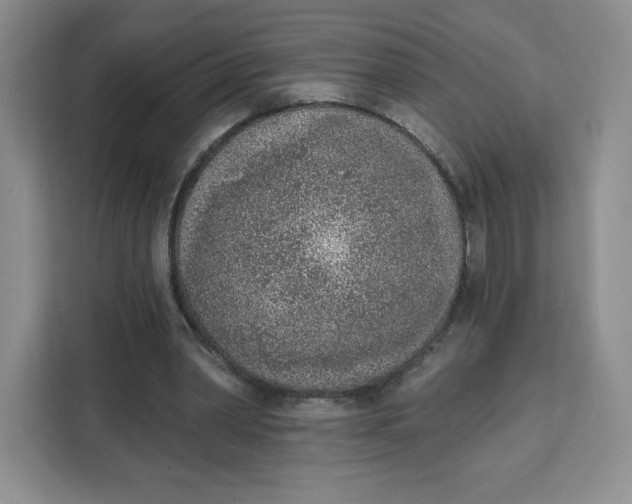 X0000111130390200907141215