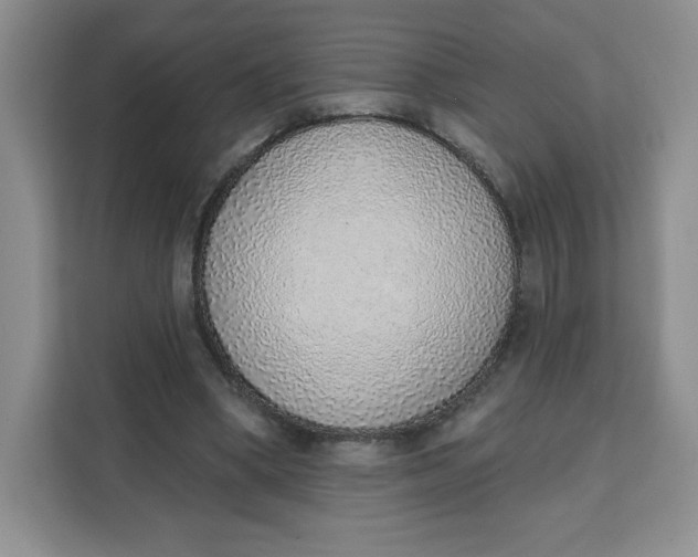 X0000111130394200907141215