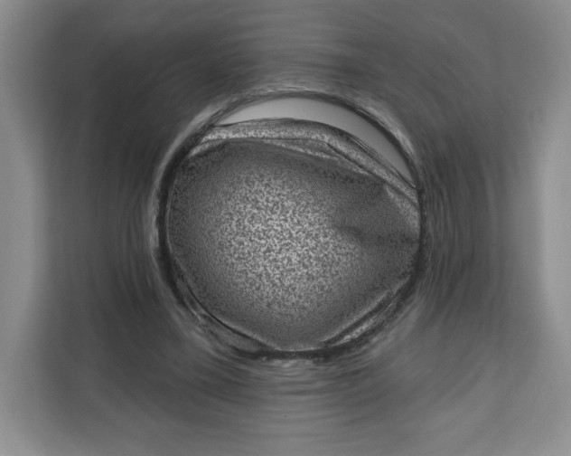 X0000111130395200907141215
