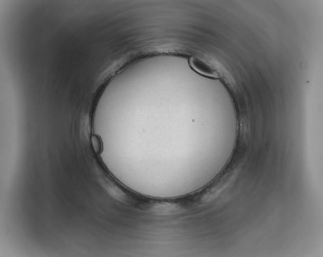 X0000111130397200907141215