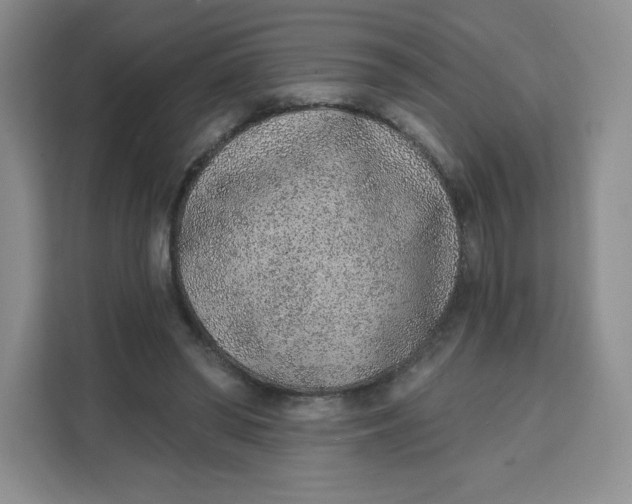 X0000111130398200907141215