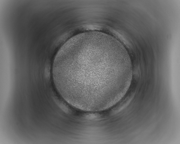 X0000111130402200907141215