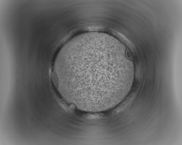 X0000111130405200907141215