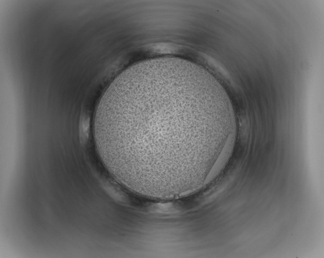 X0000111130406200907141215