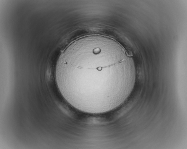 X0000111130408200907141215