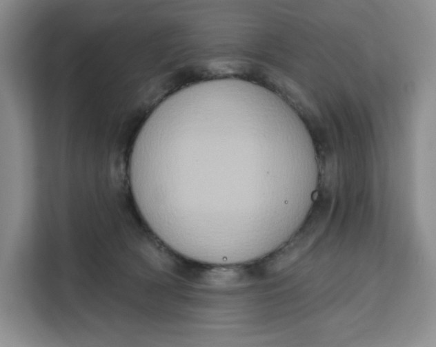 X0000111130418200907141215