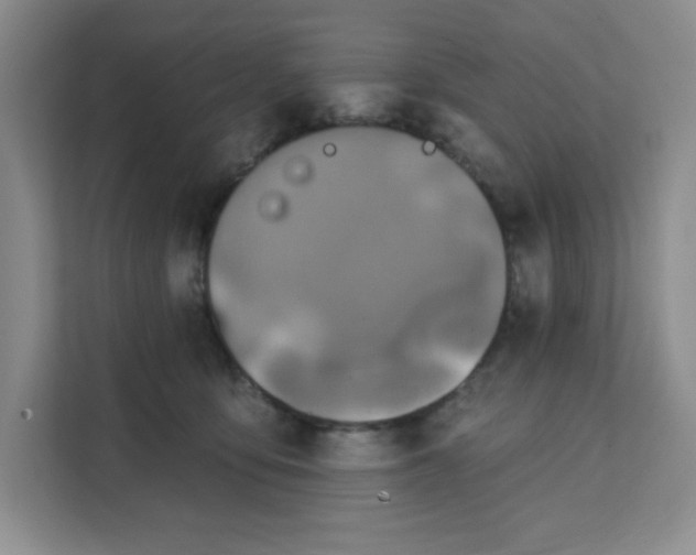 X0000111130419200907141215