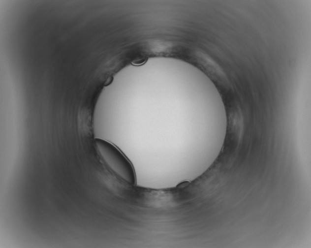 X0000111130421200907141215
