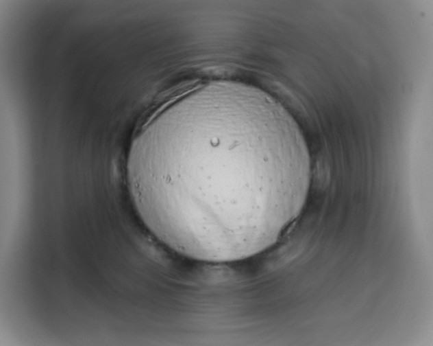 X0000111130424200907141214
