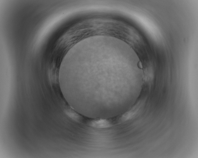 X0000111130431200907141214