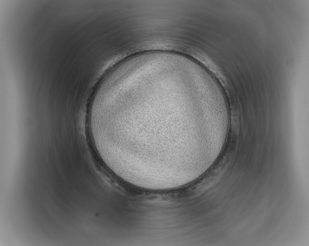 X0000111130434200907141214