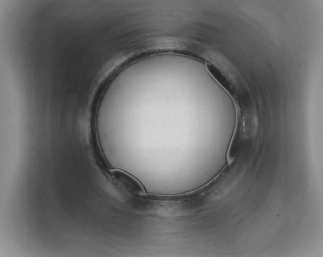 X0000111130436200907141214
