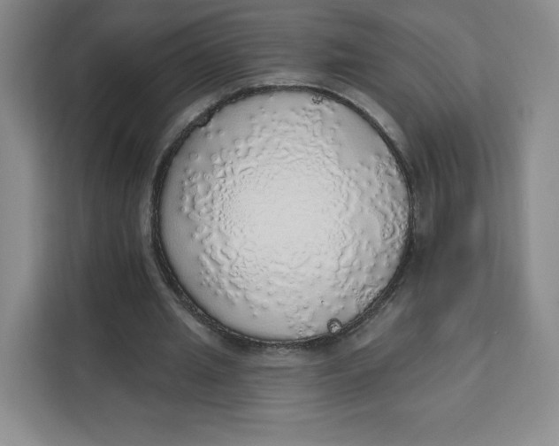X0000111130437200907141214