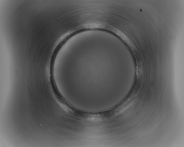X0000111130438200907141214