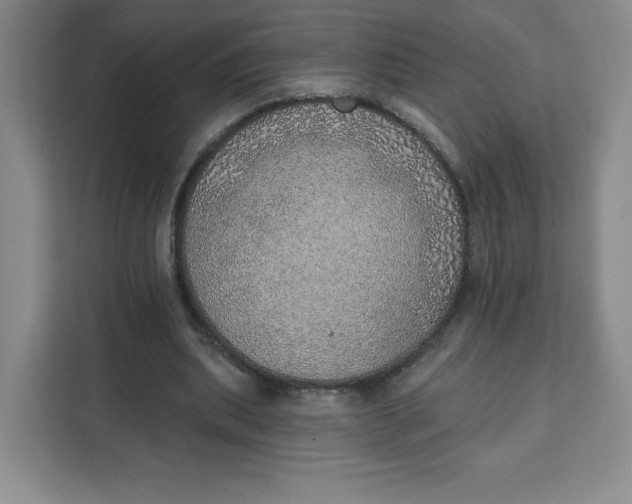 X0000111130439200907141214