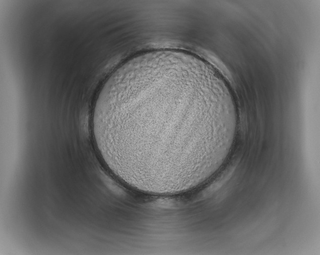 X0000111130441200907141214