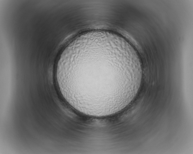 X0000111130442200907141214